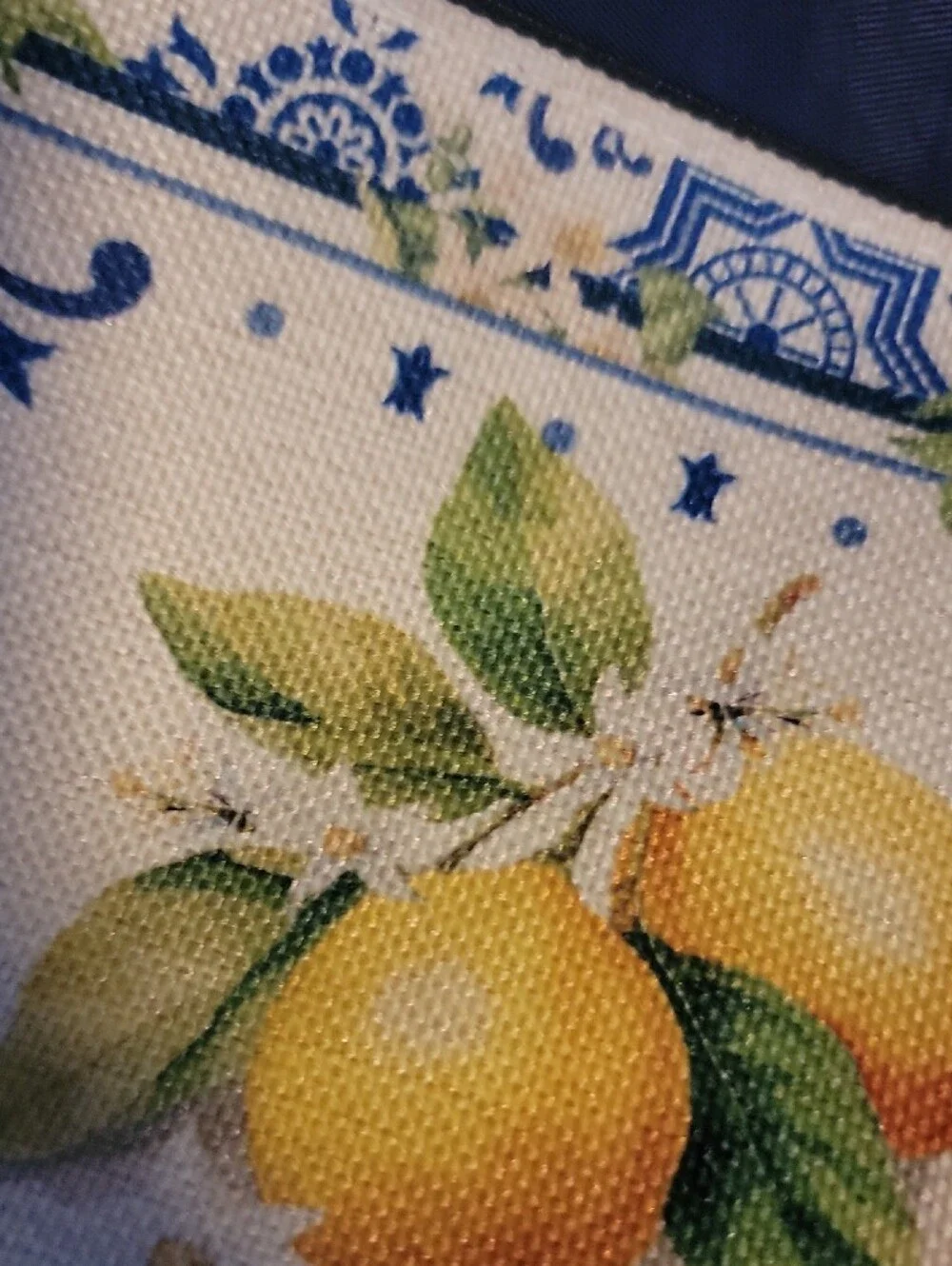 Canvas Lemon Print Cosmetic Bag with Blue Floral Border